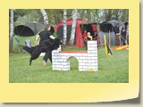 Jumping (991)