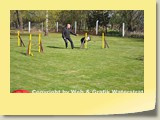 DSC_0080
