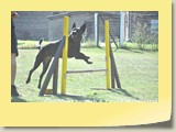 DSC_0291