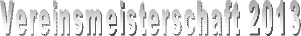 Vereinsmeisterschaft 2013