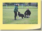 DSC_01 (12)