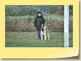 DSC_01 (13)