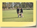 DSC_01 (17)