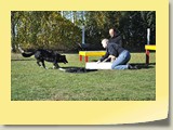 DSC_01 (33)